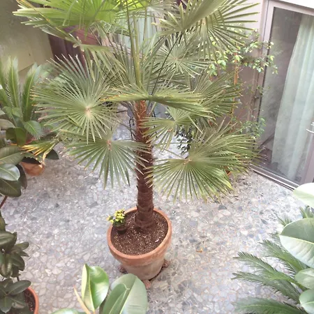 Bed and Breakfast Loft Βερόνα