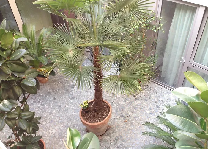 维罗纳阁楼旅馆 住宿加早餐酒店 4*