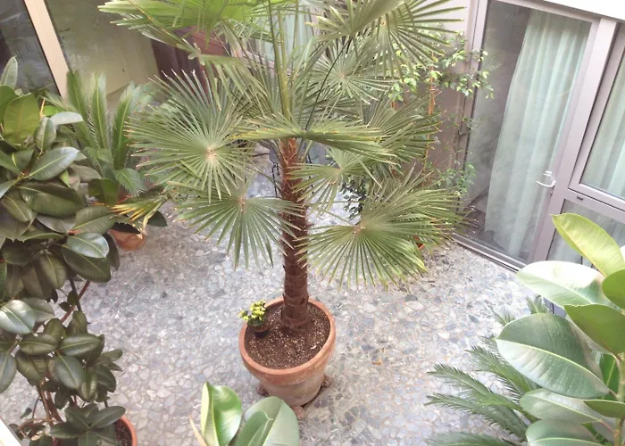 住宿加早餐酒店 维罗纳阁楼旅馆 维罗纳